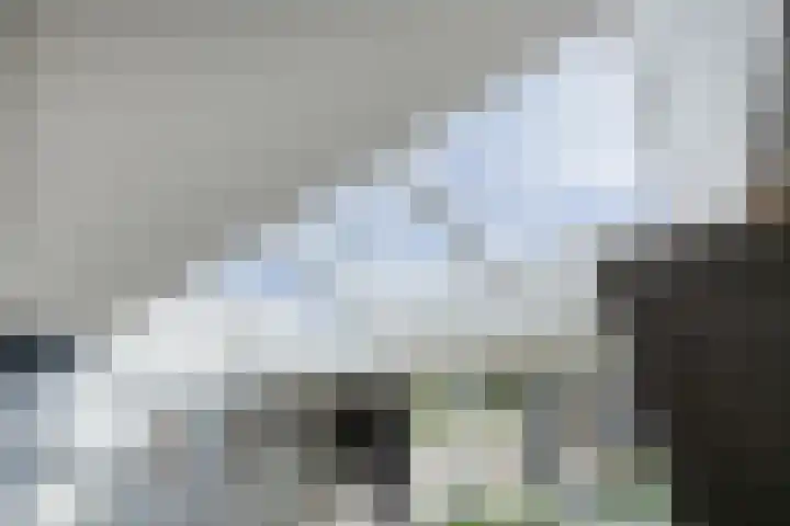 Kemphaan 16 Raalte thumbnail 12