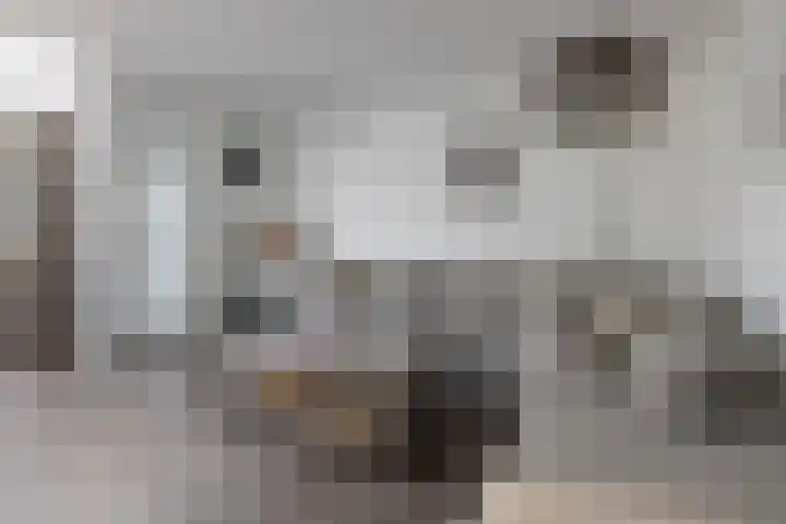 Kemphaan 16 Raalte thumbnail 7