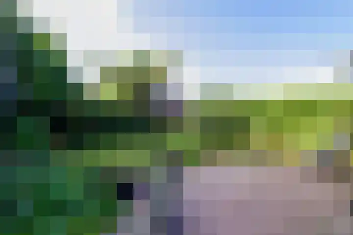Kemphaan 18 Bunschoten-Spakenburg thumbnail 32