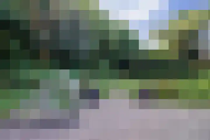 Kemphaan 18 Bunschoten-Spakenburg thumbnail 33