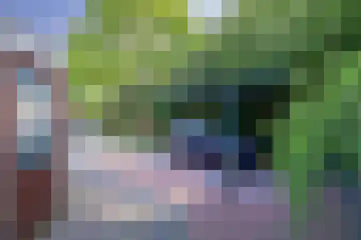 Kemphaan 18 Bunschoten-Spakenburg thumbnail 37