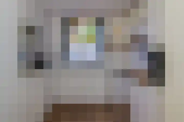 Kemphaan 18 Bunschoten-Spakenburg thumbnail 8