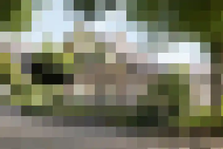 Kemphaan 31 en Raalte