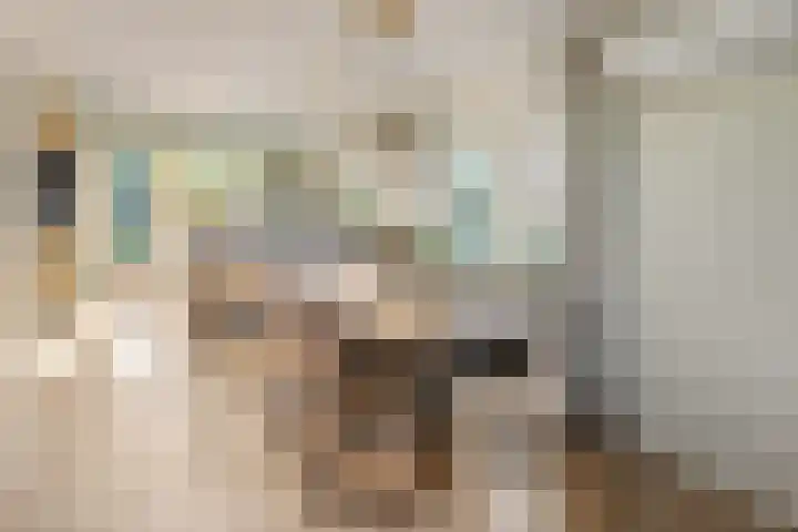 Kemphaan 31 Raalte thumbnail 10