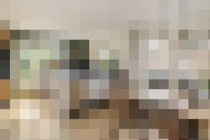 Kemphaan 31 Raalte thumbnail 11