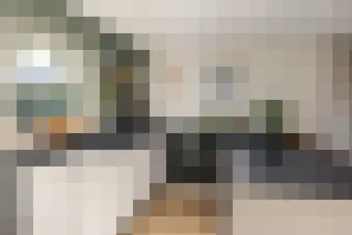 Kemphaan 31 Raalte thumbnail 12