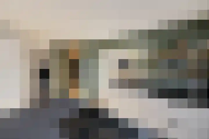 Kemphaan 31 Raalte thumbnail 13
