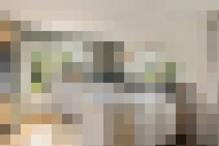 Kemphaan 31 Raalte thumbnail 15