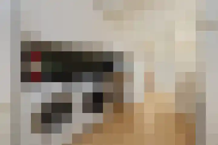 Kemphaan 31 Raalte thumbnail 16