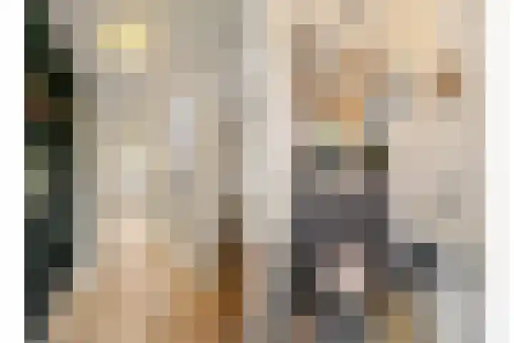 Kemphaan 31 Raalte thumbnail 19