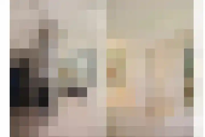 Kemphaan 31 Raalte thumbnail 21