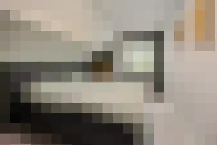Kemphaan 31 Raalte thumbnail 22