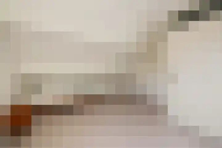 Kemphaan 31 Raalte thumbnail 24