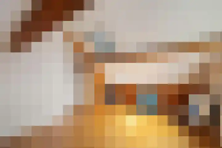 Kemphaan 31 Raalte thumbnail 31