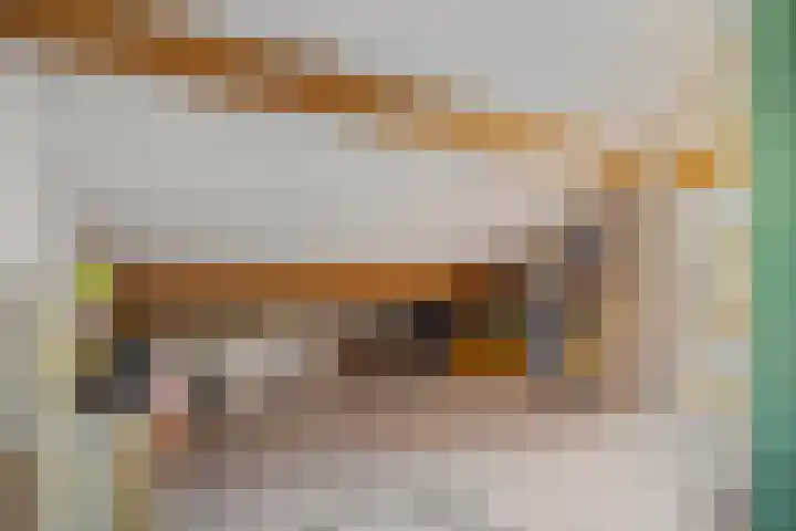 Kemphaan 31 Raalte thumbnail 32