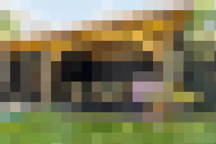 Kemphaan 31 Raalte thumbnail 33