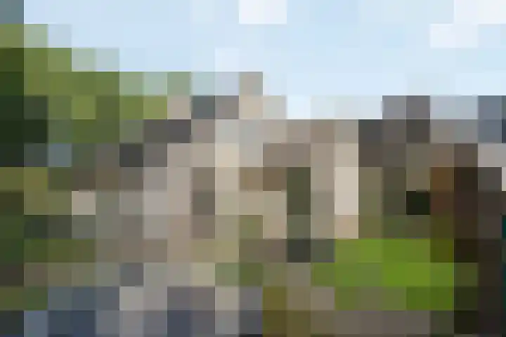 Kemphaan 31 Raalte thumbnail 34