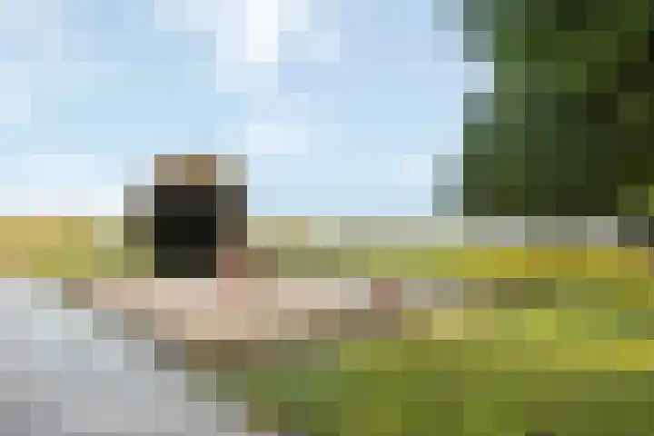 Kemphaan 31 Raalte thumbnail 39