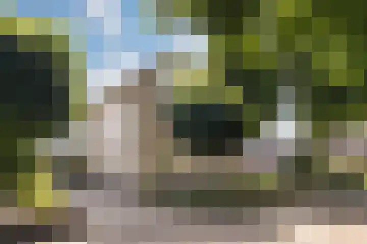 Kemphaan 31 Raalte thumbnail 4