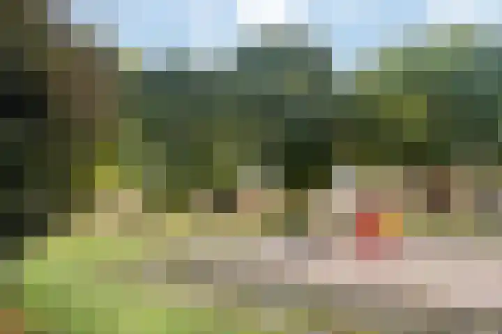 Kemphaan 31 Raalte thumbnail 40