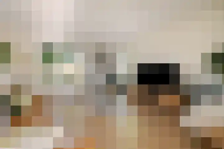 Kemphaan 31 Raalte thumbnail 5