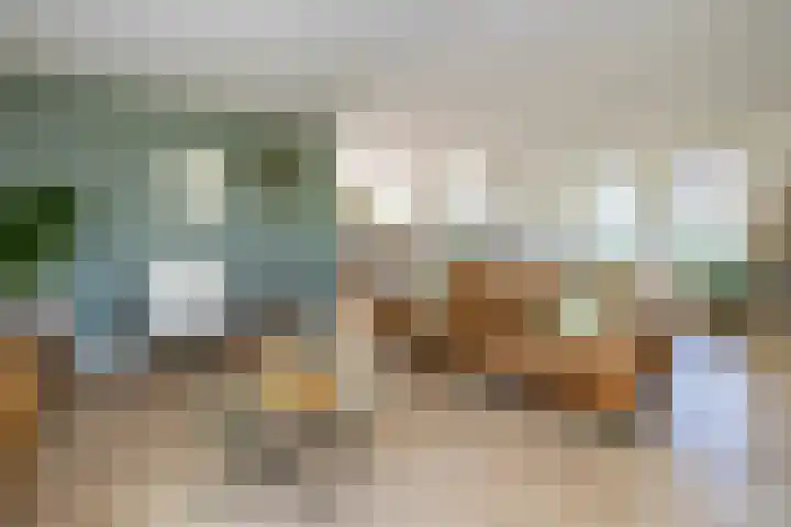Kemphaan 31 Raalte thumbnail 6