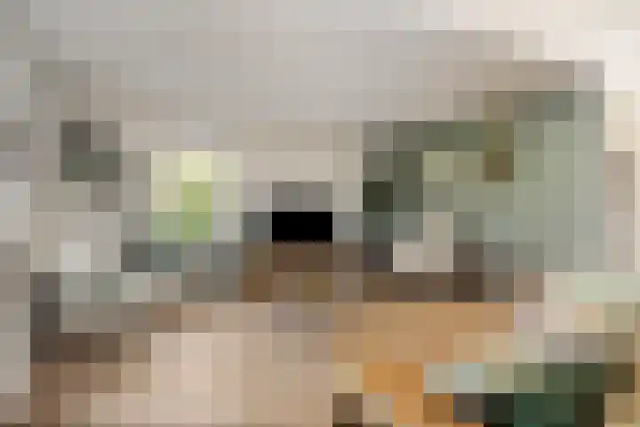 Kemphaan 31 Raalte thumbnail 7