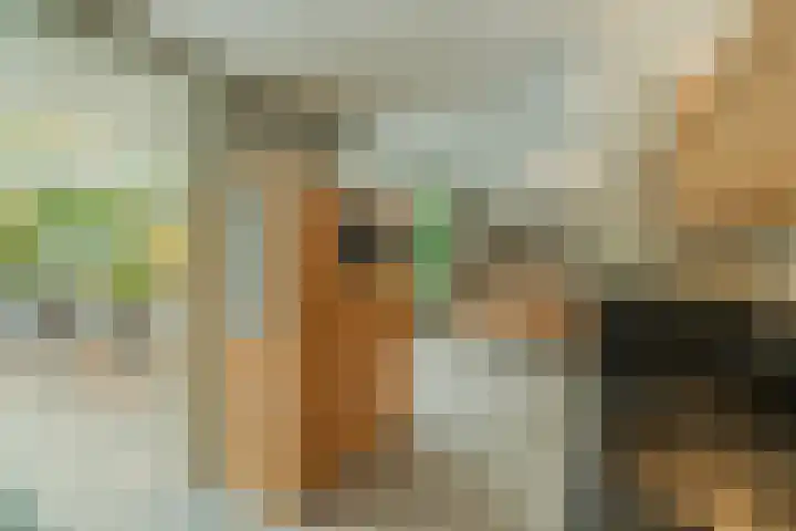 Kemphaan 4 Veldhoven thumbnail 11