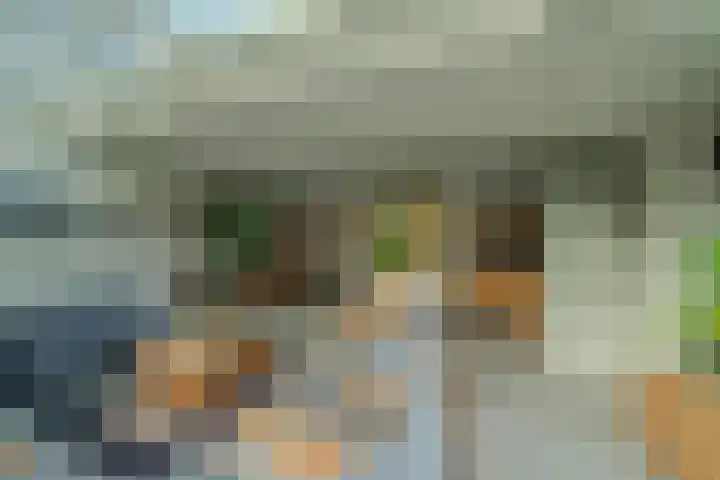 Kemphaan 4 Veldhoven thumbnail 12