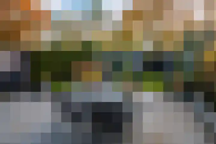 Kemphaan 4 Veldhoven thumbnail 15