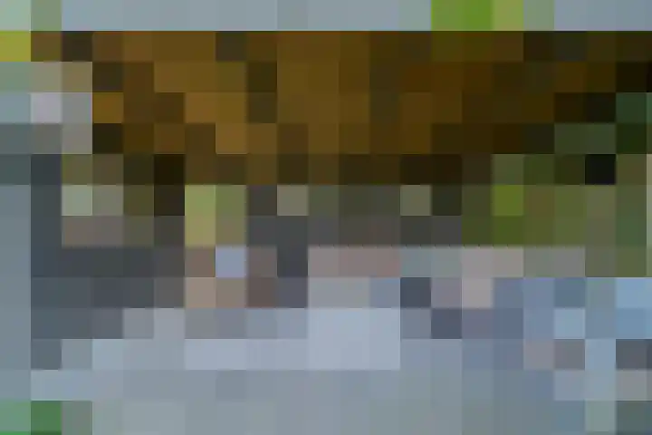 Kemphaan 4 Veldhoven thumbnail 18