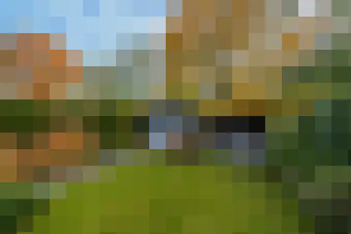 Kemphaan 4 Veldhoven thumbnail 19