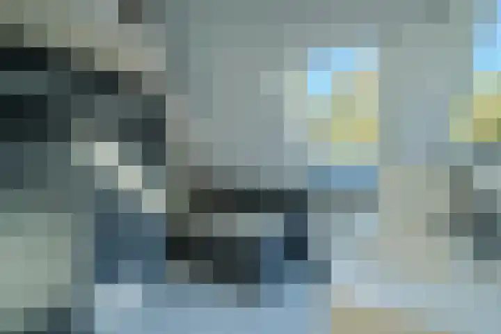 Kemphaan 4 Veldhoven thumbnail 24