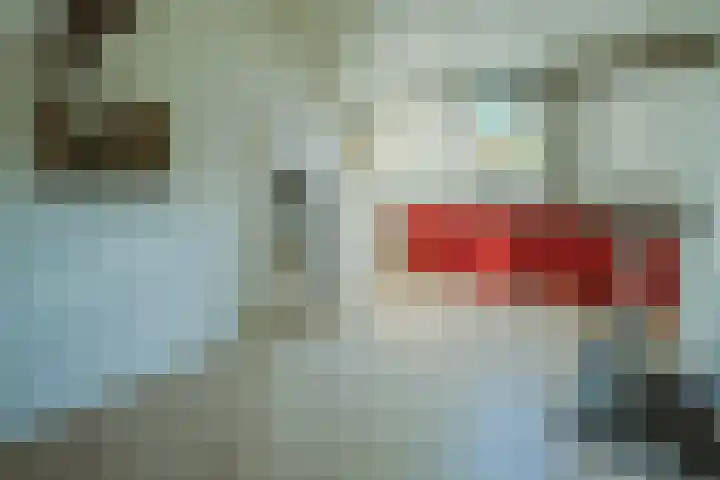Kemphaan 4 Veldhoven thumbnail 31