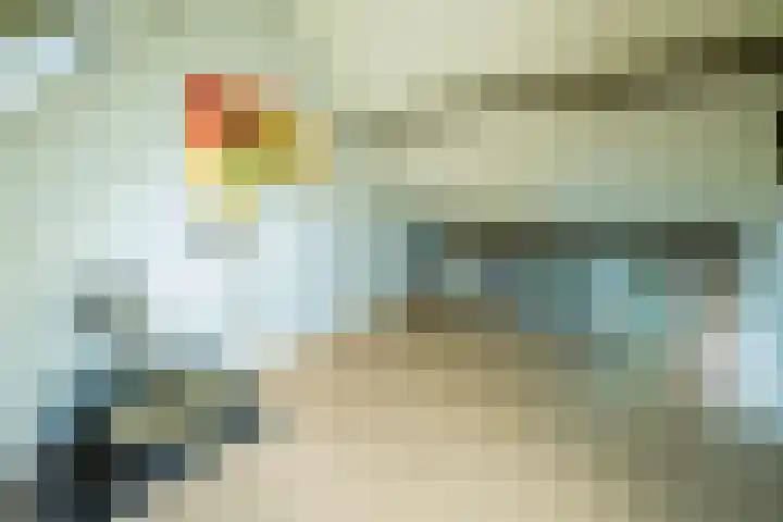 Kemphaan 4 Veldhoven thumbnail 32