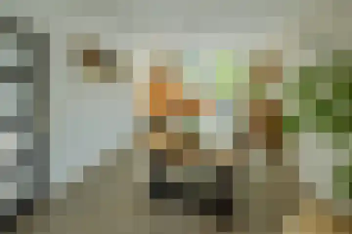 Kemphaan 4 Veldhoven thumbnail 8