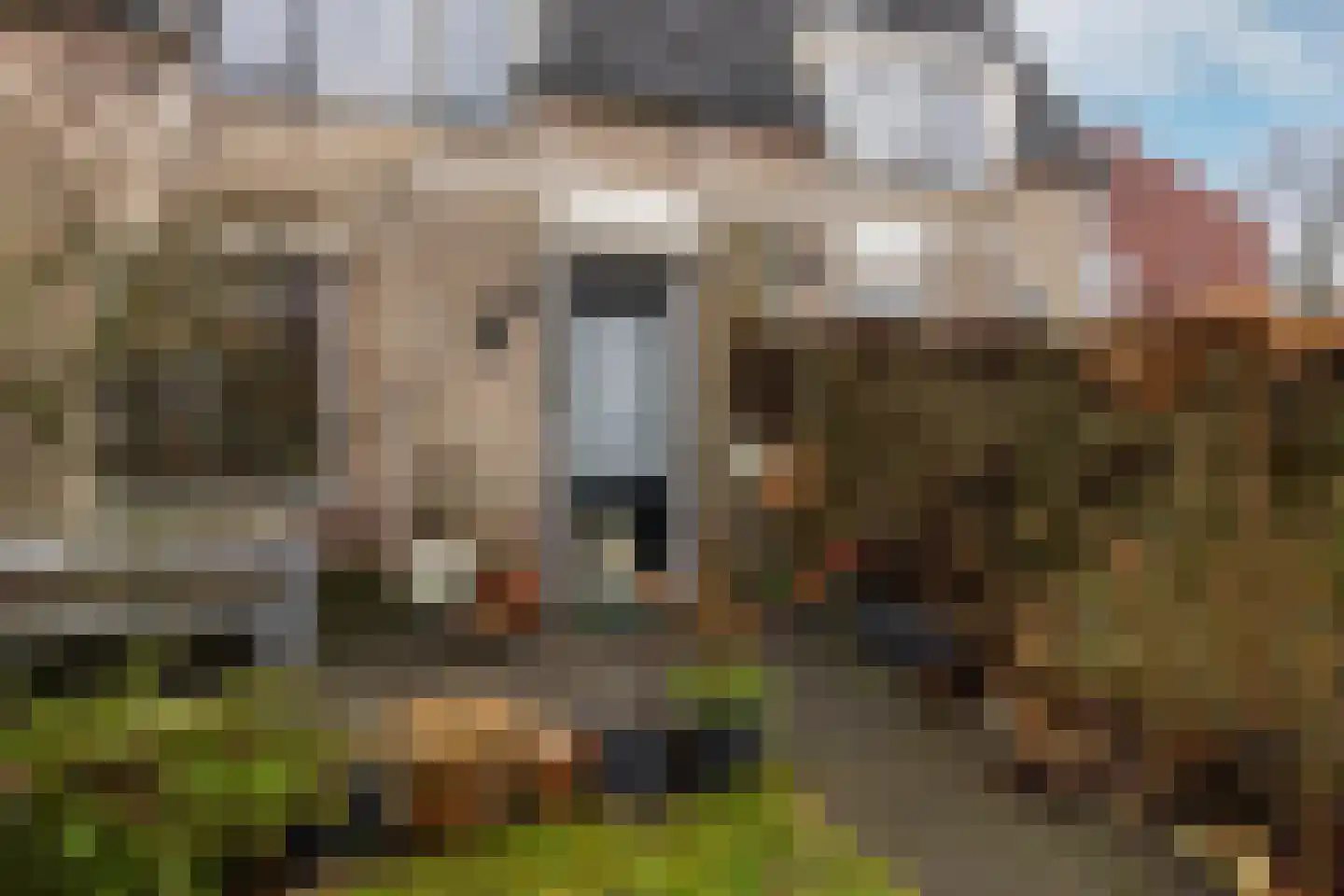 Kemphaan 43 Veldhoven thumbnail 31