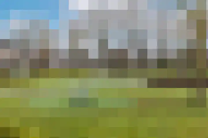 Kemphaan 43 Veldhoven thumbnail 36