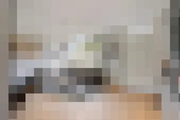 Kemphaan 45 Veldhoven thumbnail 4