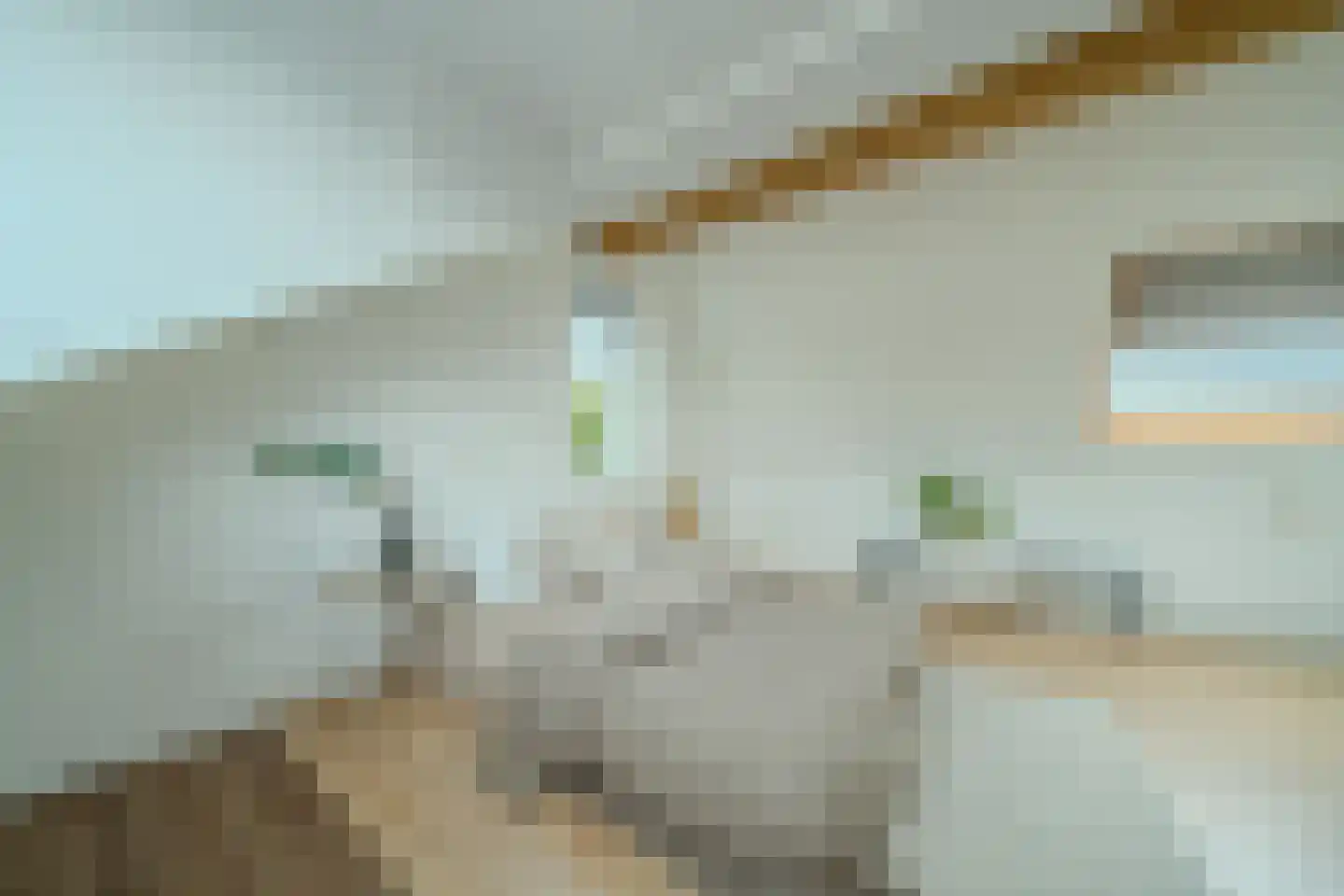 Kemphaan 83 Veldhoven thumbnail 34