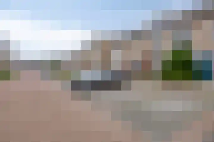 Kemphaan 87 Veldhoven thumbnail 24