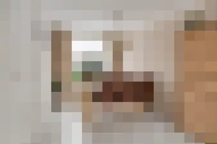 Kemphaan 87 Veldhoven thumbnail 8