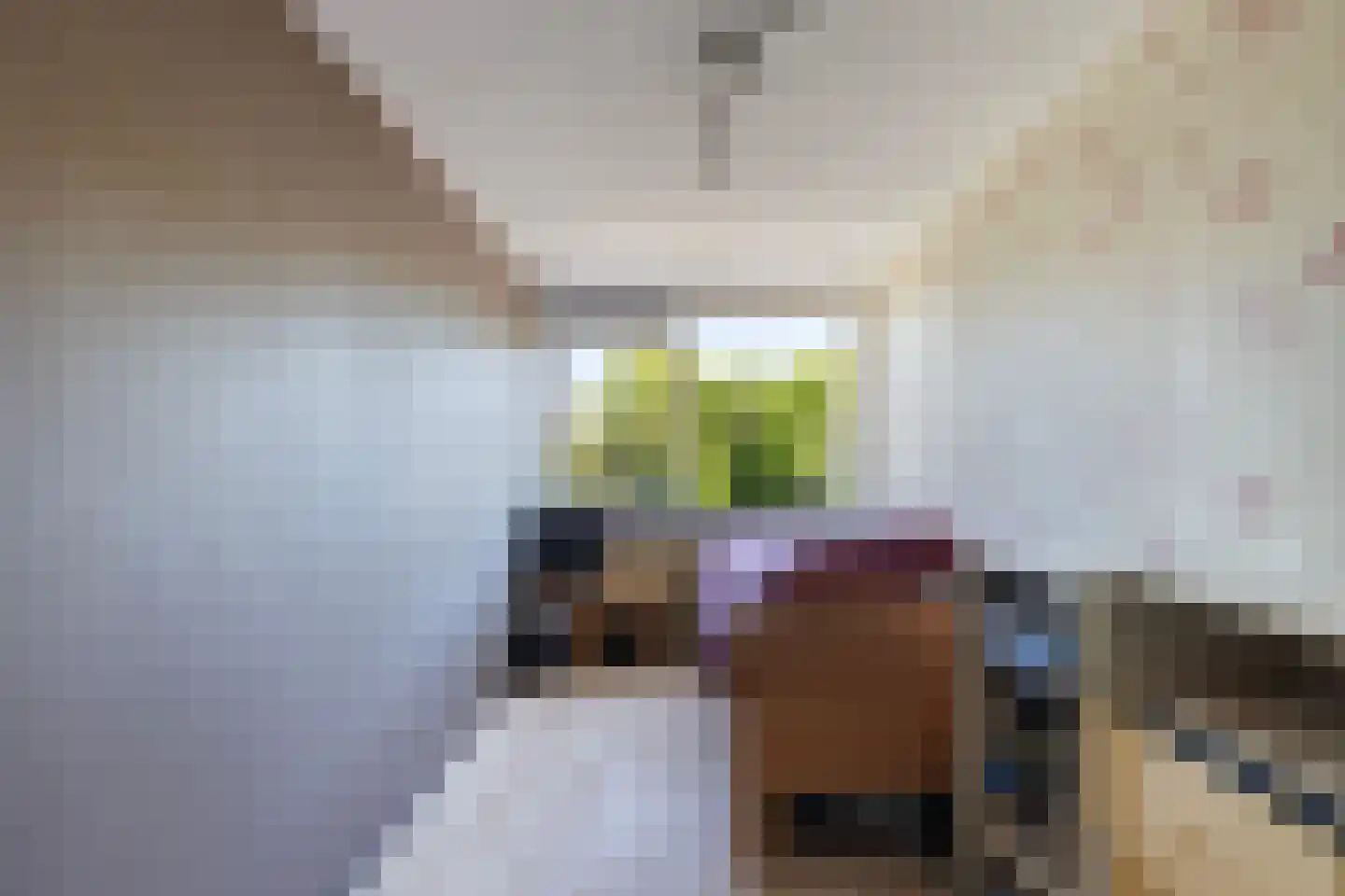 Kemphaanpad 11 Strijen thumbnail 19