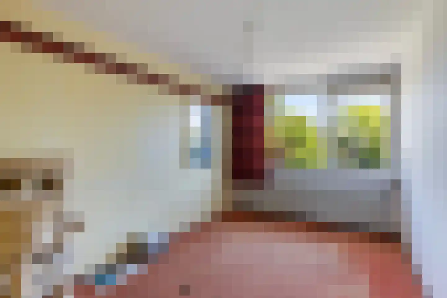 Kemphaanpad 11 Strijen thumbnail 21