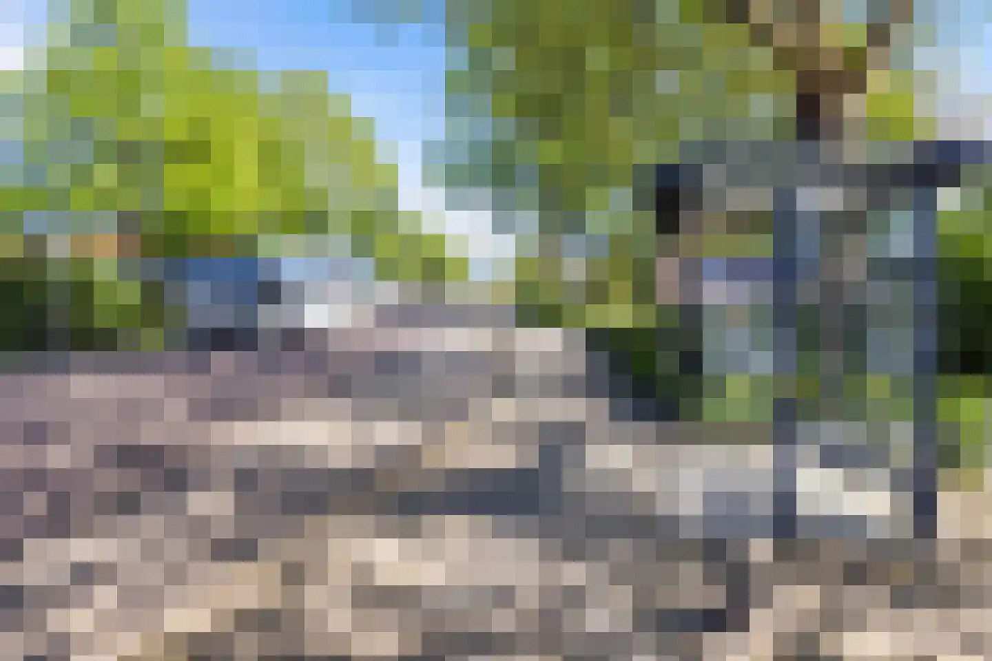Kemphaanpad 11 Strijen thumbnail 36