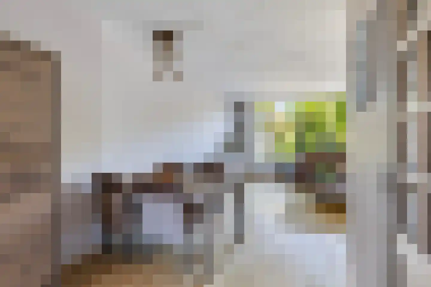 Kemphaanpad 11 Strijen thumbnail 5