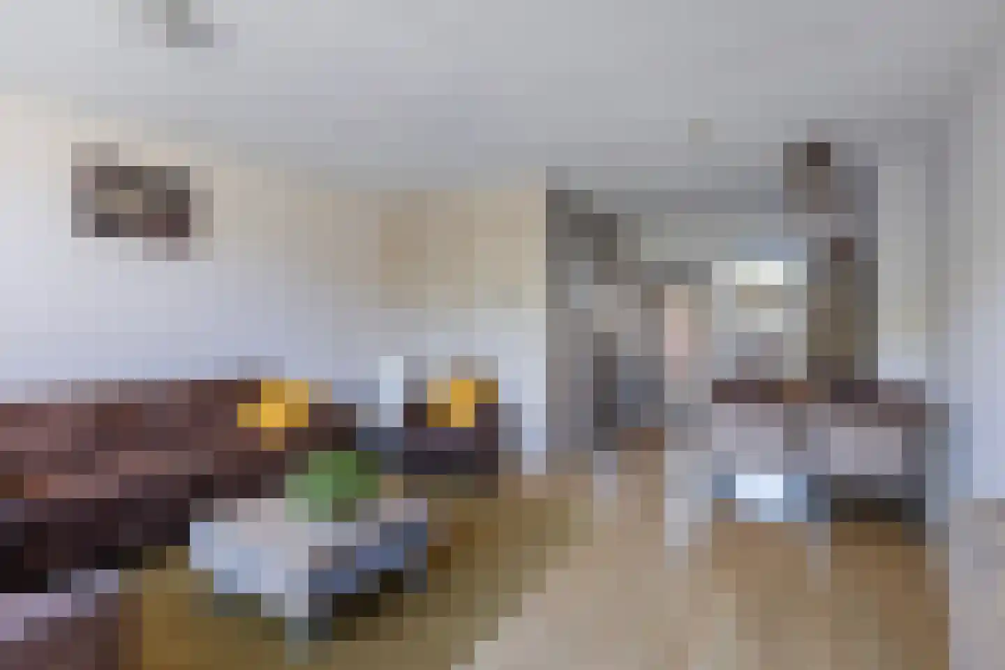 Kemphaanpad 11 Strijen thumbnail 9