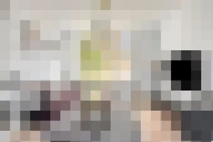 Kemphaanplein 23 Velp thumbnail 10