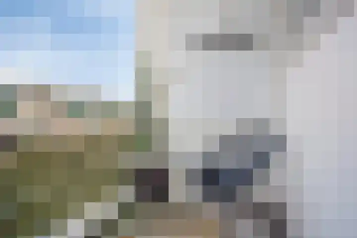 Kemphaanplein 23 Velp thumbnail 19