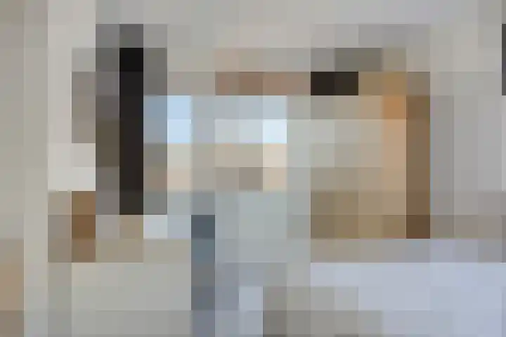 Kemphaanplein 23 Velp thumbnail 25